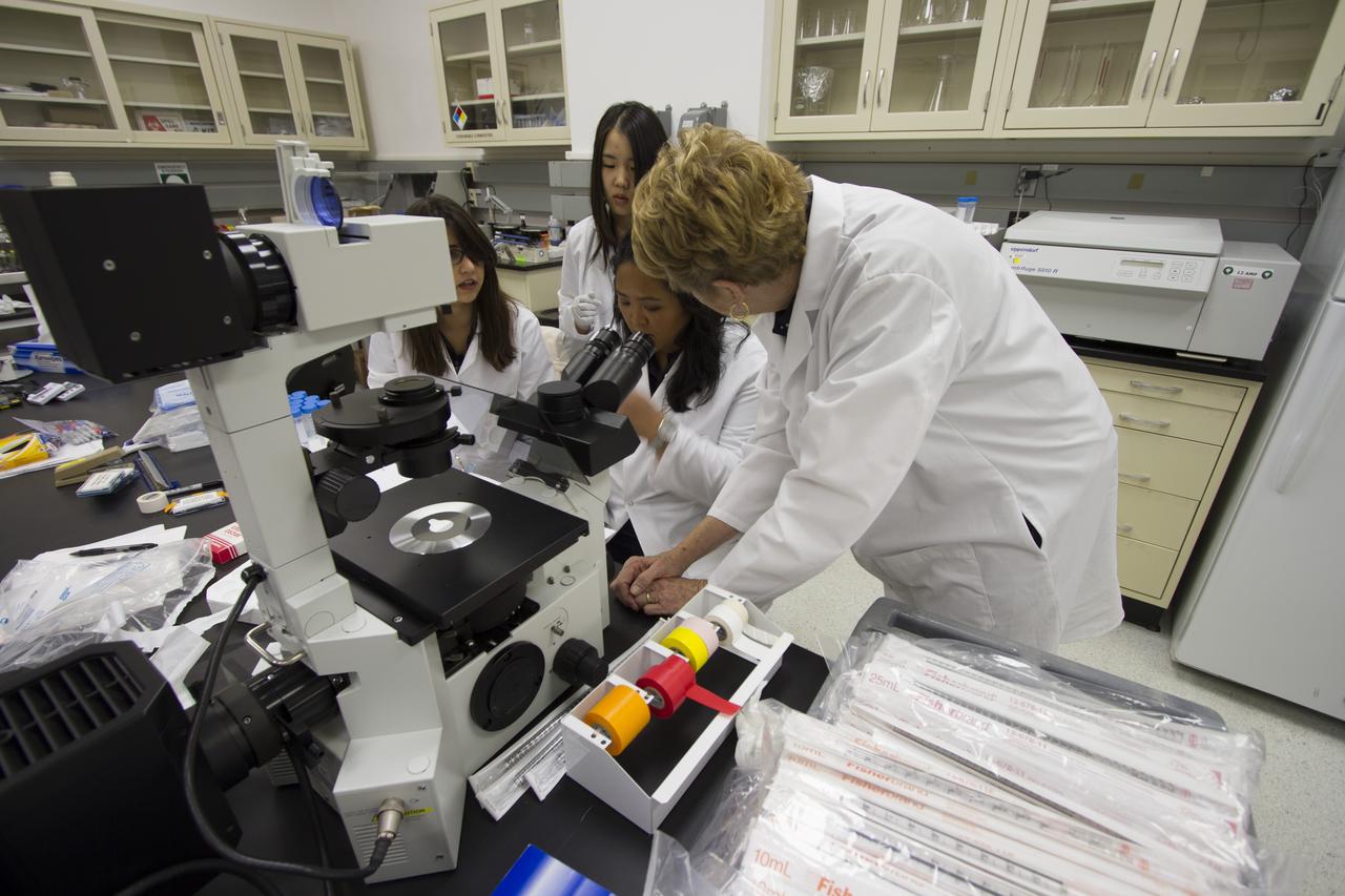 CAPE CANAVERAL, Fla. - T-cell science team member Tara Candelario of the Hughes-Fulford Laboratory, San Francisco, Calif., at the microscope, discusses preflight and post-flight experiment operations with researcher and principal investigator Dr. Millie Hughes-Fulford in the Space Station Processing Facility at NASA's Kennedy Space Center in Florida as T-cell science team members Emily Martinez, left, and Miya Yoshida look on. The immunology experiment will launch on SpaceX-3 and focus on the effects of microgravity on early T-cell signaling pathways. Current work aims to identify and compare the gene expression of microRNAs miRNAs during T-cell activation under normal gravity and in microgravity, and compare those patterns to changes seen in aging populations. The experiment will be the first flown on SpaceX funded by the National Institutes of Health. Dr. Hughes-Fulford flew aboard space shuttle mission STS-40 in June 1991, the first Spacelab mission dedicated to biomedical studies. For more information on the T-cell experiment, visit http://hughesfulfordlab.com and http://www.nasa.gov/ames/research/space-biosciences/t-cell-activation-in-aging-spacex-3/. Photo credit: NASA/Cory Huston