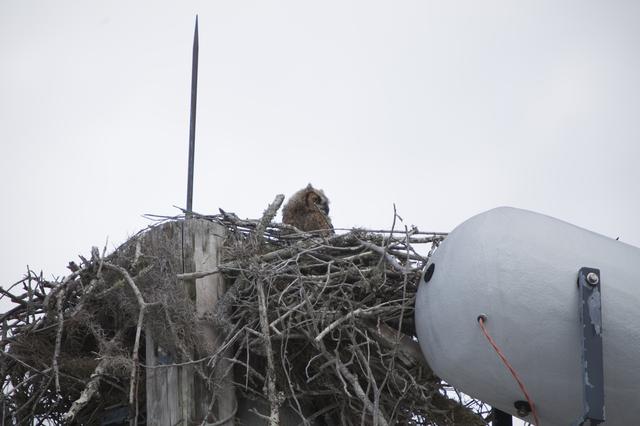 NASA image: Owl Nest behind TV Building