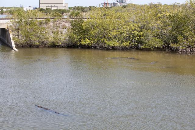 NASA image: KSC-2014-1960
