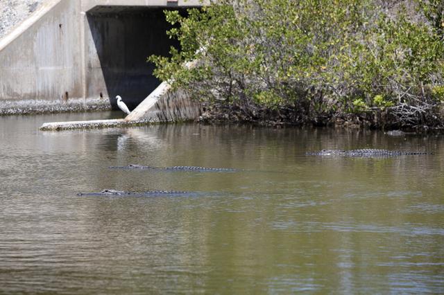 NASA image: KSC-2014-1963