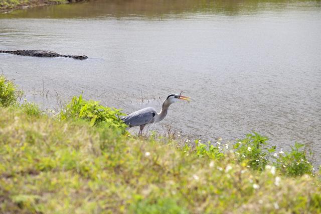 NASA image: KSC-2014-2004