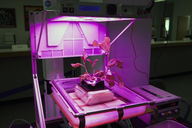 NASA image: KSC-2014-2030