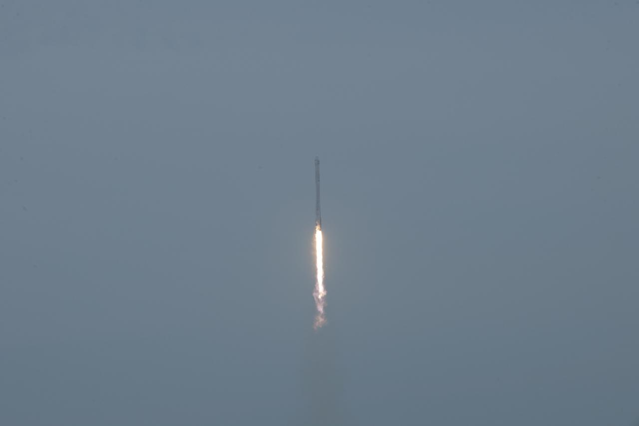 CAPE CANAVERAL, Fla. - The SpaceX-3 mission soars into the clouds over Space Launch Complex 40 on Cape Canaveral Air Force Station aboard a Falcon 9 rocket, carrying the Dragon resupply spacecraft to the International Space Station. Liftoff was during an instantaneous window at 3:25 p.m. EDT.    Dragon is making its fourth trip to the space station. The SpaceX-3 mission, carrying almost 2.5 tons of supplies, technology and science experiments, is the third of 12 flights through a $1.6 billion NASA Commercial Resupply Services contract. Dragon's cargo will support more than 150 experiments that will be conducted during the station's Expeditions 39 and 40.     For more information, visit http://www.nasa.gov/mission_pages/station/structure/launch/index.html.  Photo credit: NASA/George Roberts