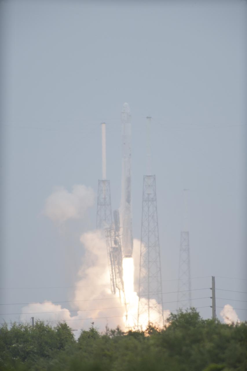 CAPE CANAVERAL, Fla. - The SpaceX Falcon 9 rocket rises above the lightning masts on Space Launch Complex 40 at Cape Canaveral Air Force Station, sending the Dragon resupply spacecraft on its way to the International Space Station. Liftoff was during an instantaneous window at 3:25 p.m. EDT.      Dragon is making its fourth trip to the space station. The SpaceX-3 mission, carrying almost 2.5 tons of supplies, technology and science experiments, is the third of 12 flights through a $1.6 billion NASA Commercial Resupply Services contract. Dragon's cargo will support more than 150 experiments that will be conducted during the station's Expeditions 39 and 40.  For more information, visit http://www.nasa.gov/mission_pages/station/structure/launch/index.html.  Photo credit: NASA/Tony Gray
