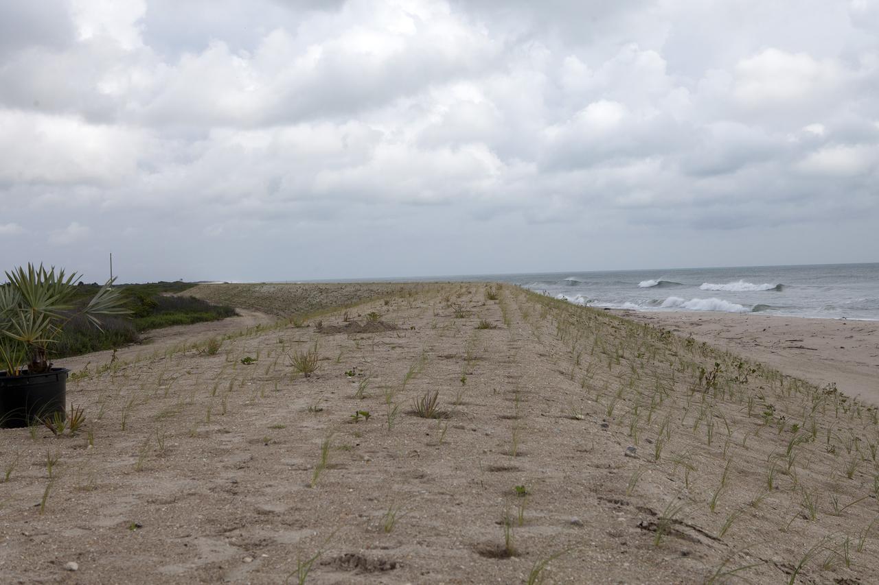 CAPE CANAVERAL, Fla. -- At the Kennedy Space Center in Florida, the sand dunes along a 1.2 mile stretch of shoreline near Launch Pads 39A and B were restored during a six-month effort using 90,000 cubic yards of sand. To help prevent future erosion, 180,000 shrubs, including grasses, sunflowers, vines, sea grapes and palmettos were planted.    Constant pounding from tropical storms, such as Hurricane Sandy in October of 2012, other weather systems and higher than usual tides, destroyed sand dunes protecting infrastructure at the spaceport. Photo credit: NASA/Dan Casper