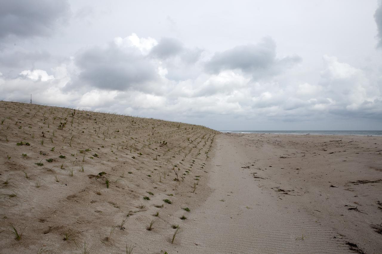 CAPE CANAVERAL, Fla. -- At the Kennedy Space Center in Florida, the sand dunes along a 1.2 mile stretch of shoreline near Launch Pads 39A and B were restored during a six-month effort using 90,000 cubic yards of sand. To help prevent erosion, 180,000 shrubs, including grasses, sunflowers, vines, sea grapes and palmettos were planted.    Constant pounding from tropical storms, such as Hurricane Sandy in October of 2012, other weather systems and higher than usual tides, destroyed sand dunes protecting infrastructure at the spaceport. Photo credit: NASA/Dan Casper