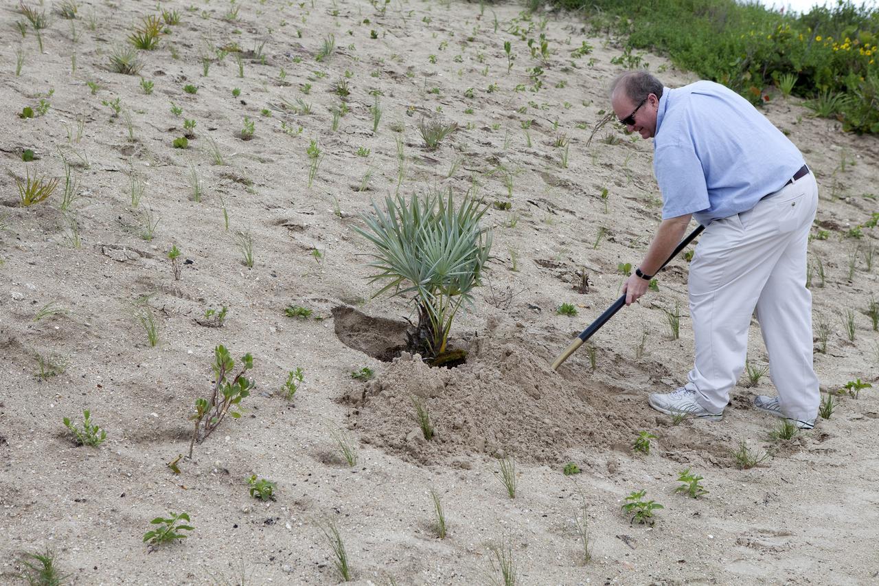CAPE CANAVERAL, Fla. -- At the Kennedy Space Center in Florida, Burton Summerfield, senior advisor for Institutional Management in the office of the associate director at Kennedy, plants the final shrub that is among 180,000 planted on a new 1.2-mile stretch of shoreline near Launch Pads 39A and B.      Constant pounding from tropical storms, such as Hurricane Sandy in October of 2012, other weather systems and higher than usual tides, destroyed sand dunes protecting infrastructure at the spaceport. Photo credit: NASA/Dan Casper