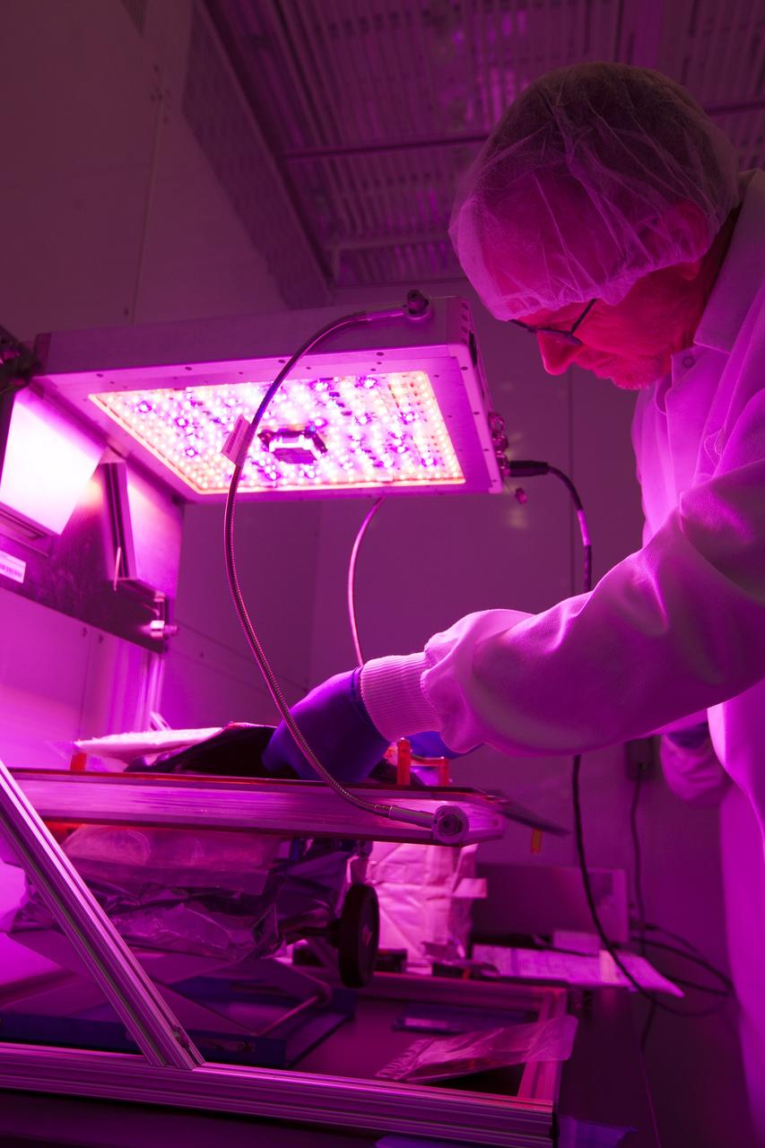 CAPE CANAVERAL, Fla. – Researchers have activated the red, blue and green LED lights on the Veggie plant growth system inside a control chamber at the Space Station Processing Facility at NASA's Kennedy Space Center in Florida. Jim Smodell, a technician with SGT, inserts the root mat and plant pillows containing outredgeous red romaine lettuce seeds into the Veggie unit. The growth chamber will be used as a control unit and procedures will be followed identical to those being performed on Veggie and the Veg-01 experiment on the International Space Station by Expedition 39 flight engineer and NASA astronaut Steve Swanson.    Veggie and Veg-01 were delivered to the space station aboard the SpaceX-3 mission. Veggie is the first fresh food production system delivered to the station. Six plant pillows, each containing outredgeous red romaine lettuce seeds and a root mat were inserted into Veggie. The plant chamber's red, blue and green LED lights were activated. The plant growth will be monitored for 28 days. At the end of the cycle, the plants will be carefully harvested, frozen and stored for return to Earth. Photo credit: NASA/Dimitri Gerondidakis