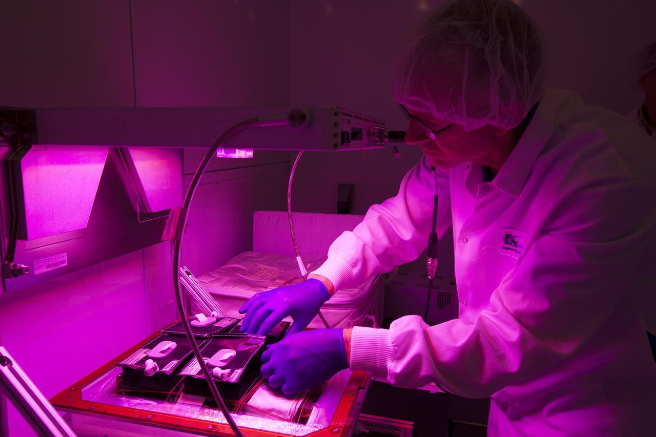 CAPE CANAVERAL, Fla. – Researchers have activated the red, blue and green LED lights on the Veggie plant growth system inside a control chamber at the Space Station Processing Facility at NASA's Kennedy Space Center in Florida. Jim Smodell, a technician with SGT, is securing the plant pillows containing outredgeous red romaine lettuce seeds onto the root mat inside Veggie. The growth chamber will be used as a control unit and procedures will be followed identical to those being performed on Veggie and the Veg-01 experiment on the International Space Station by Expedition 39 flight engineer and NASA astronaut Steve Swanson.    Veggie and Veg-01 were delivered to the space station aboard the SpaceX-3 mission. Veggie is the first fresh food production system delivered to the station. Six plant pillows, each containing outredgeous red romaine lettuce seeds and a root mat were inserted into Veggie. The plant chamber's red, blue and green LED lights were activated. The plant growth will be monitored for 28 days. At the end of the cycle, the plants will be carefully harvested, frozen and stored for return to Earth. Photo credit: NASA/Dimitri Gerondidakis