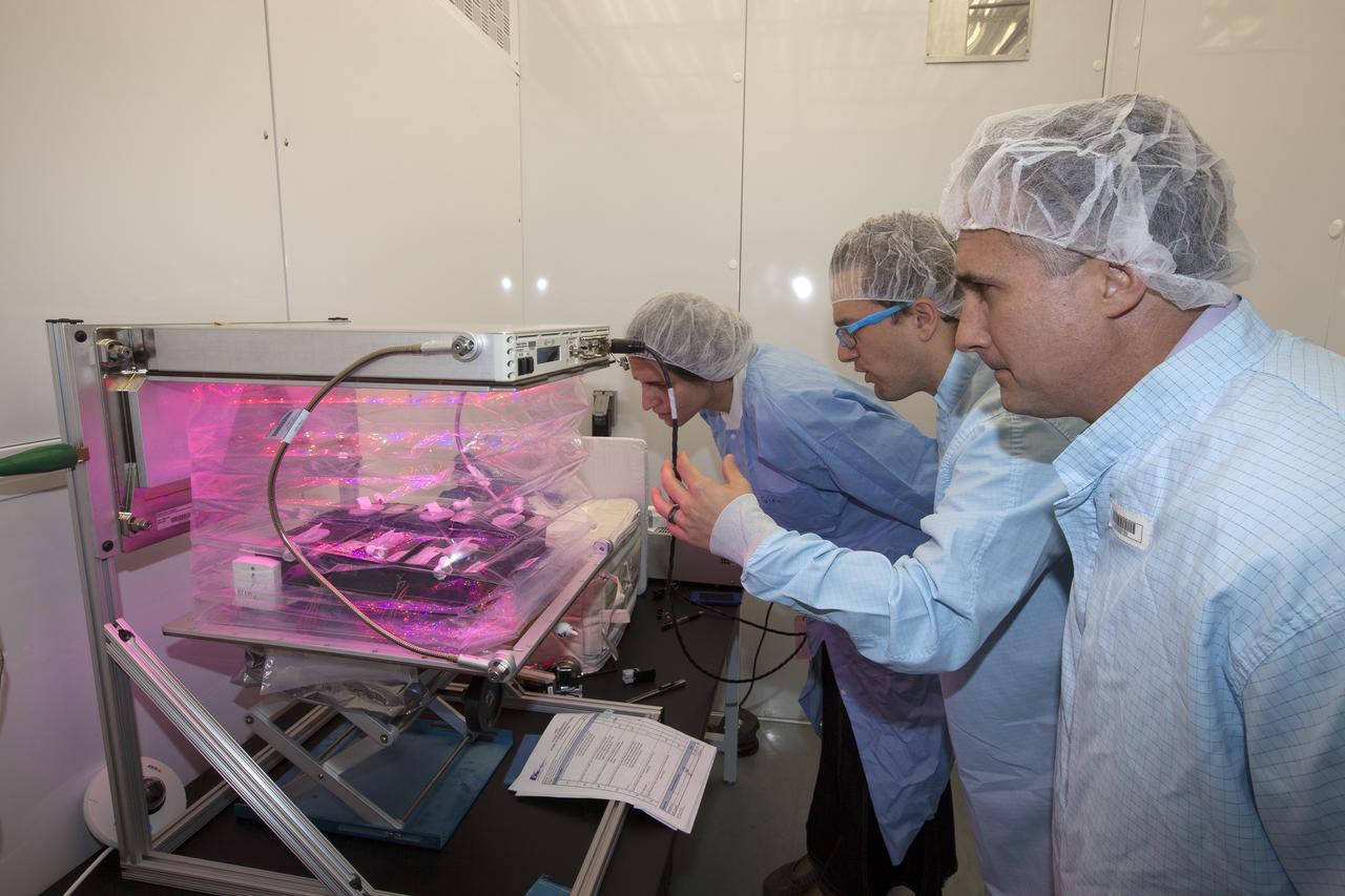 CAPE CANAVERAL, Fla. – The Veggie plant growth system has been activated inside a control chamber at the Space Station Processing Facility at NASA's Kennedy Space Center in Florida. The red, blue and green LED lights have been turned on and the root mat and plant pillows containing outredgeous red romaine lettuce seeds have been inserted into the chamber. The clear bellows have been expanded and secured. Checking the system are, from left, Gioia Massa, NASA payload scientist for Veggie, Gerard Newsham, Veggie payload support specialist with Jacobs Technology, and Trent Smith, NASA project manager. The growth chamber will be used as a control unit and procedures will be followed identical to those being performed on Veggie and the Veg-01 experiment on the International Space Station by Expedition 39 flight engineer and NASA astronaut Steve Swanson.    Veggie and Veg-01 were delivered to the space station aboard the SpaceX-3 mission. Veggie is the first fresh food production system delivered to the station. Six plant pillows, each containing outredgeous red romaine lettuce seeds and a root mat were inserted into Veggie. The plant chamber's red, blue and green LED lights were activated. The plant growth will be monitored for 28 days. At the end of the cycle, the plants will be carefully harvested, frozen and stored for return to Earth. Photo credit: NASA/Dimitri Gerondidakis