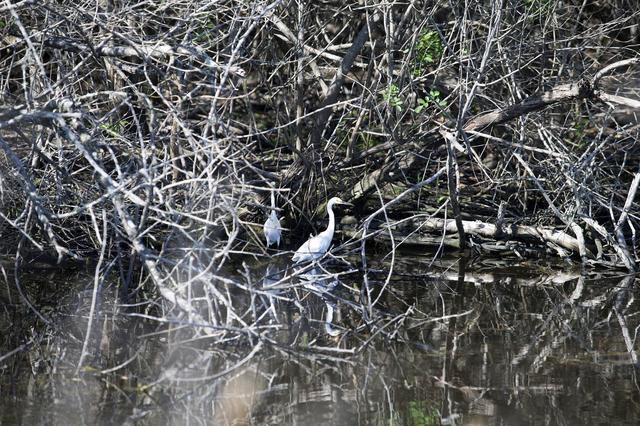 NASA image: KSC-2014-2527