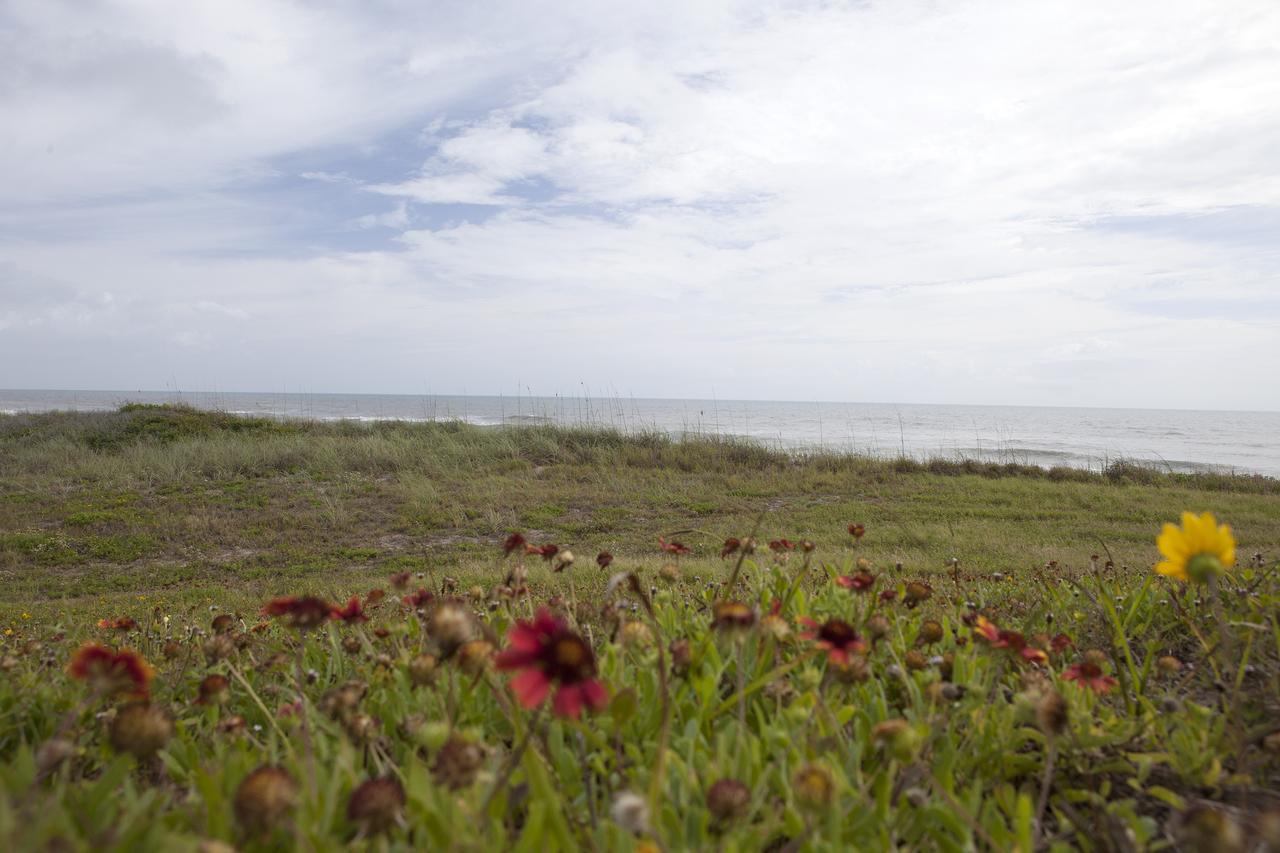 CAPE CANAVERAL, Fla. -- At the Kennedy Space Center in Florida, the sand dunes along a 1.2 mile stretch of shoreline near Launch Pads 39A and B were restored during a six-month effort using 90,000 cubic yards of sand. To help prevent erosion, 180,000 shrubs, including grasses, sunflowers, vines, sea grapes and palmettos were planted.    Constant pounding from tropical storms, such as Hurricane Sandy in October of 2012, other weather systems and higher than usual tides, destroyed sand dunes protecting infrastructure at the spaceport. Photo credit: NASA/Dan Casper