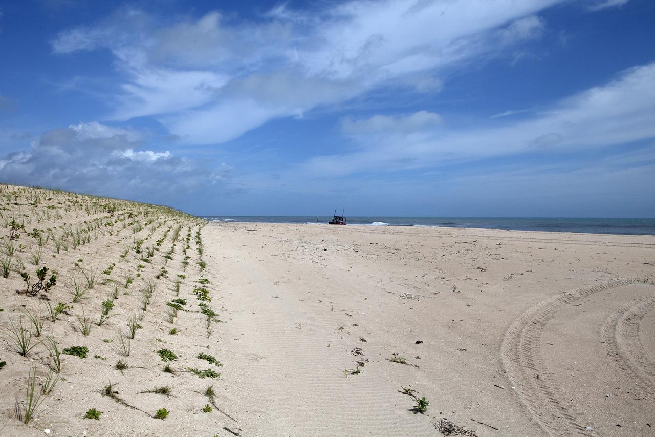 CAPE CANAVERAL, Fla. -- At the Kennedy Space Center in Florida, sand dunes have been restored along a 1.2 mile stretch of shoreline near Launch Pads 39A and B. As part of a six-month effort to help prevent further erosion, 180,000 shrubs, including grasses, sunflowers, vines, sea grapes and palmettos were planted.      Constant pounding from tropical storms, such as Hurricane Sandy in October of 2012, other weather systems and higher than usual tides, destroyed sand dunes protecting infrastructure at the spaceport. Photo credit: NASA/Dan Casper