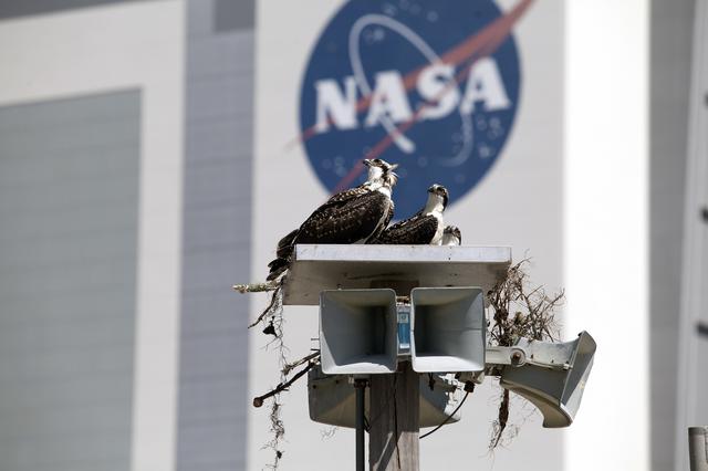 NASA image: KSC-2014-2846