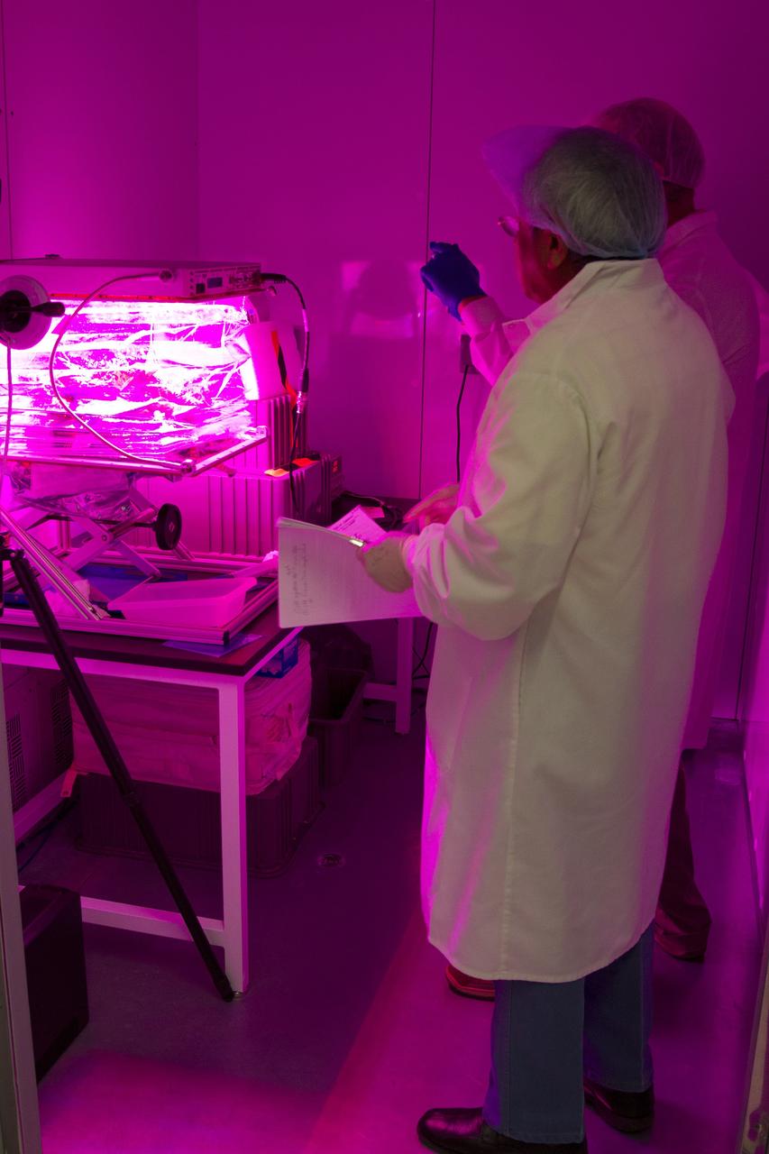 CAPE CANAVERAL, Fla. – Researchers review procedures for harvesting the outredgeous red lettuce leaves in the Veggie plant growth system inside the International Space Station Environmental Simulator chamber at the Space Station Processing Facility at NASA's Kennedy Space Center in Florida. The growth chamber was used as a control unit and procedures were followed identical to those being performed on Veggie and the Veg-01 experiment on the International Space Station.    The chamber mimicked the temperature, relative humidity and carbon dioxide concentration of those in the Veggie unit on the space station. Veggie and Veg-01 were delivered to the space station aboard the SpaceX-3 mission. Veggie is the first fresh food production system delivered to the station. Six plant pillows, each containing outredgeous red romaine lettuce seeds and a root mat were inserted into Veggie. The plant chamber's red, blue and green LED lights were activated. The plant growth was monitored for 33 days. On June 10, at the end of the cycle, the plants were carefully harvested, frozen and stored for return to Earth by Expedition 39 flight engineer and NASA astronaut Steve Swanson. Photo credit: NASA/Frankie Martin