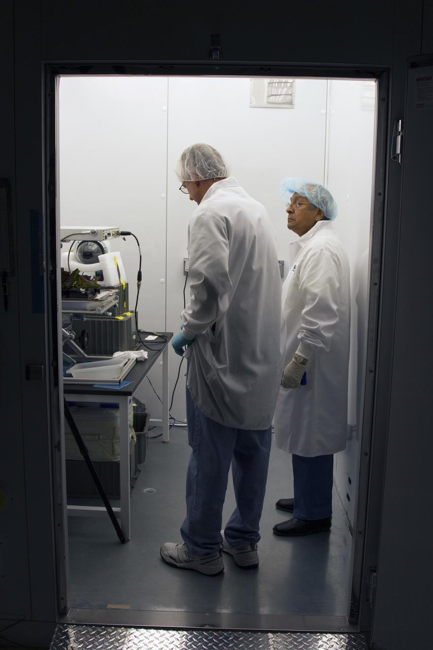 CAPE CANAVERAL, Fla. – From left, Jim Smodell, a technician with SGT, and George Guerra, a quality control engineer with QinetiQ North America, prepare to remove the plant pillows containing the outredgeous red lettuce leaves from the Veggie plant growth system inside the International Space Station Environmental Simulator chamber at the Space Station Processing Facility at NASA's Kennedy Space Center in Florida. The growth chamber was used as a control unit and procedures were followed identical to those being performed on Veggie and the Veg-01 experiment on the International Space Station.    The chamber mimicked the temperature, relative humidity and carbon dioxide concentration of those in the Veggie unit on the space station. Veggie and Veg-01 were delivered to the space station aboard the SpaceX-3 mission. Veggie is the first fresh food production system delivered to the station. Six plant pillows, each containing outredgeous red romaine lettuce seeds and a root mat were inserted into Veggie. The plant chamber's red, blue and green LED lights were activated. The plant growth was monitored for 33 days. On June 10, at the end of the cycle, the plants were carefully harvested, frozen and stored for return to Earth by Expedition 39 flight engineer and NASA astronaut Steve Swanson. Photo credit: NASA/Frankie Martin