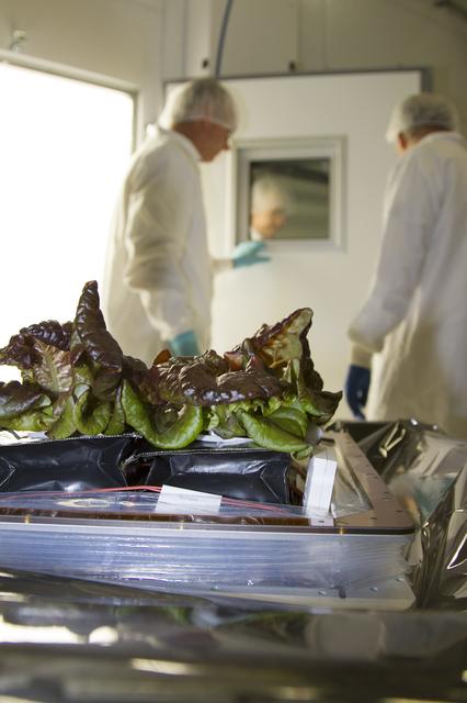 NASA image: KSC-2014-2903