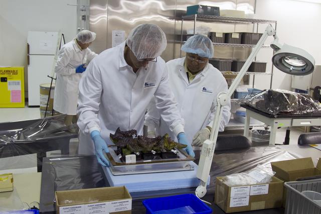 NASA image: KSC-2014-2906