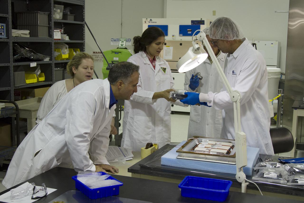 CAPE CANAVERAL, Fla. – At far right, Jim Smodell, a technician with SGT, shows a plant pillow from the Veggie plant growth system to Gioia Massa, NASA payload scientist for Veggie. Partially hidden behind Smodell is Chuck Spern, lead project engineer with QinetiQ North America on the Engineering Services Contract. At left is Trent Smith, NASA project manager in the ISS Ground Processing and Research Project Office, and Nicole Dufour, NASA Engineering and Technology Directorate. They are in the Payload Development Laboratory at the Space Station Processing Facility, or SSPF, at NASA's Kennedy Space Center in Florida. The plant pillows were removed from the Veggie plant growth system inside a control chamber at the SSPF. The growth chamber was used as a control unit for Veggie and procedures were followed identical to those being performed on Veggie and the Veg-01 experiment on the International Space Station.    The chamber mimicked the temperature, relative humidity and carbon dioxide concentration of those in the Veggie unit on the space station. Veggie and Veg-01 were delivered to the space station aboard the SpaceX-3 mission. Veggie is the first fresh food production system delivered to the station. Six plant pillows, each containing outredgeous red romaine lettuce seeds and a root mat were inserted into Veggie. The plant chamber's red, blue and green LED lights were activated. The plant growth was monitored for 33 days. On June 10, at the end of the cycle, the plants were carefully harvested, frozen and stored for return to Earth by Expedition 39 flight engineer and NASA astronaut Steve Swanson. Photo credit: NASA/Frankie Martin