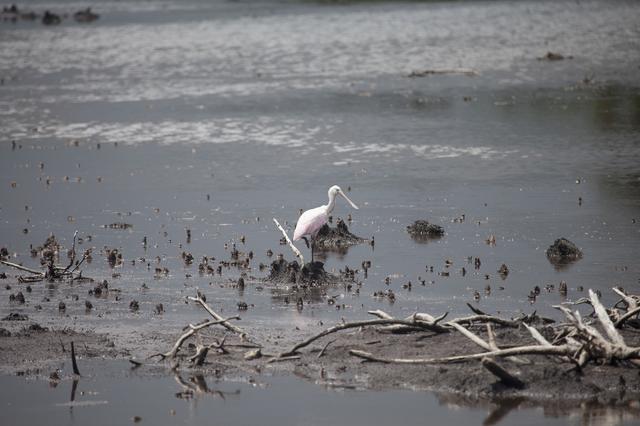 NASA image: KSC-2014-2920