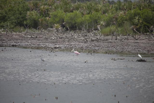 NASA image: KSC-2014-2921