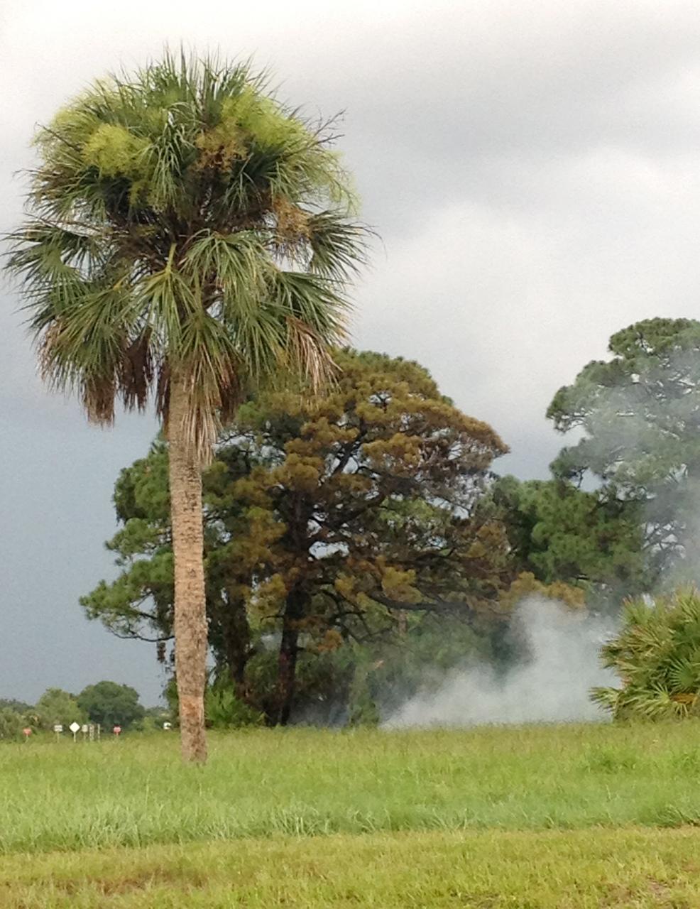 CAPE CANAVERAL, Fla. – A lightning strike sparks a brush fire near Headquarters Building in the Industrial Area of NASA’s Kennedy Space Center in Florida.    The space center is nestled on the Merritt Island National Wildlife Refuge, which is managed by the U.S. Fish and Wildlife Service. Chenega Security & Support Solutions is responsible for Kennedy's Fire Rescue Department. For information on the refuge, visit http://www.fws.gov/merrittisland/Index.html. For more on Kennedy Space Center, visit http://www.nasa.gov/kennedy. Photo credit: NASA/Ben Smegelsky