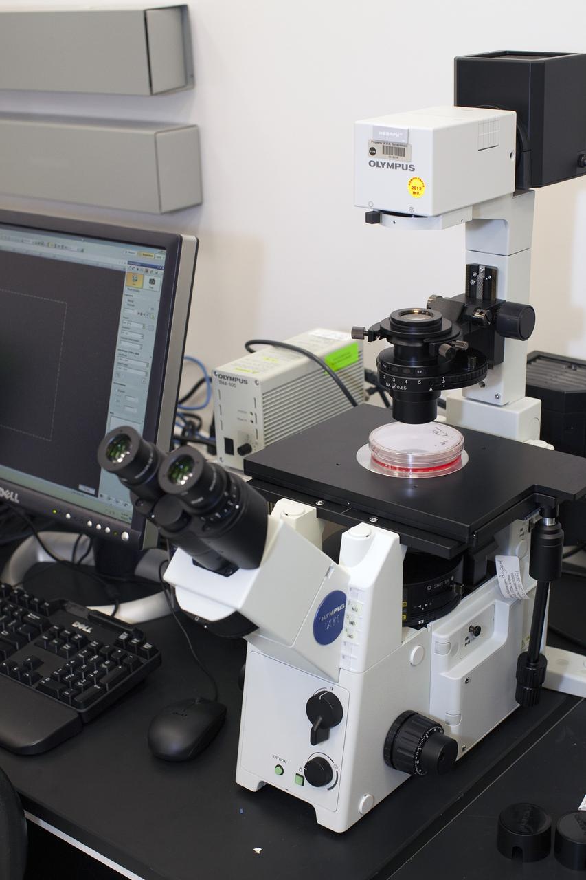 CAPE CANAVERAL, Fla. – Inside a laboratory in the Space Station Processing Facility at NASA's Kennedy Space Center in Florida, a sample of the Cell-Mechanosensing 2 experiment for the Japan Aerospace Exploration Agency has been prepared for viewing through a high-powered microscope. The experiment is one of many that will be delivered to the International Space Station on the SpaceX-4 commercial cargo resupply mission. Kennedy's ISS Ground Processing and Research Project Office is providing the necessary laboratories, equipment, supplies and consumables for 61 principal investigators, including 17 from other countries, as they prepare their science experiments for flight. The SpaceX-4 flight is targeted to launch in September 2014. Photo credit: NASA/Dimitri Gerondidakis