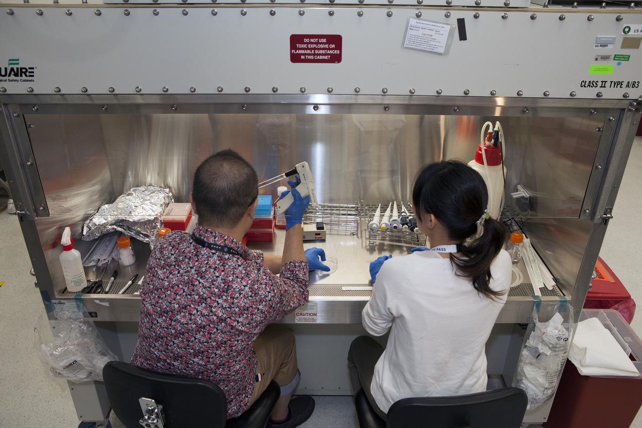 CAPE CANAVERAL, Fla. – Inside a laboratory in the Space Station Processing Facility at NASA's Kennedy Space Center in Florida, Dr. Takeshi Kobayashi, at left, an assistant professor at Nagoya University in Japan, and Dr. Toko Hashizume, an engineer with AES, prepare samples for the Cell-Mechanosensing 2 experiment for the Japan Aerospace Exploration Agency. The experiment is one of many that will be delivered to the International Space Station on the SpaceX-4 commercial cargo resupply mission. Kennedy's ISS Ground Processing and Research Project Office is providing the necessary laboratories, equipment, supplies and consumables for 61 principal investigators, including 17 from other countries, as they prepare their science experiments for flight. The SpaceX-4 flight is targeted to launch in September 2014. Photo credit: NASA/Dimitri Gerondidakis