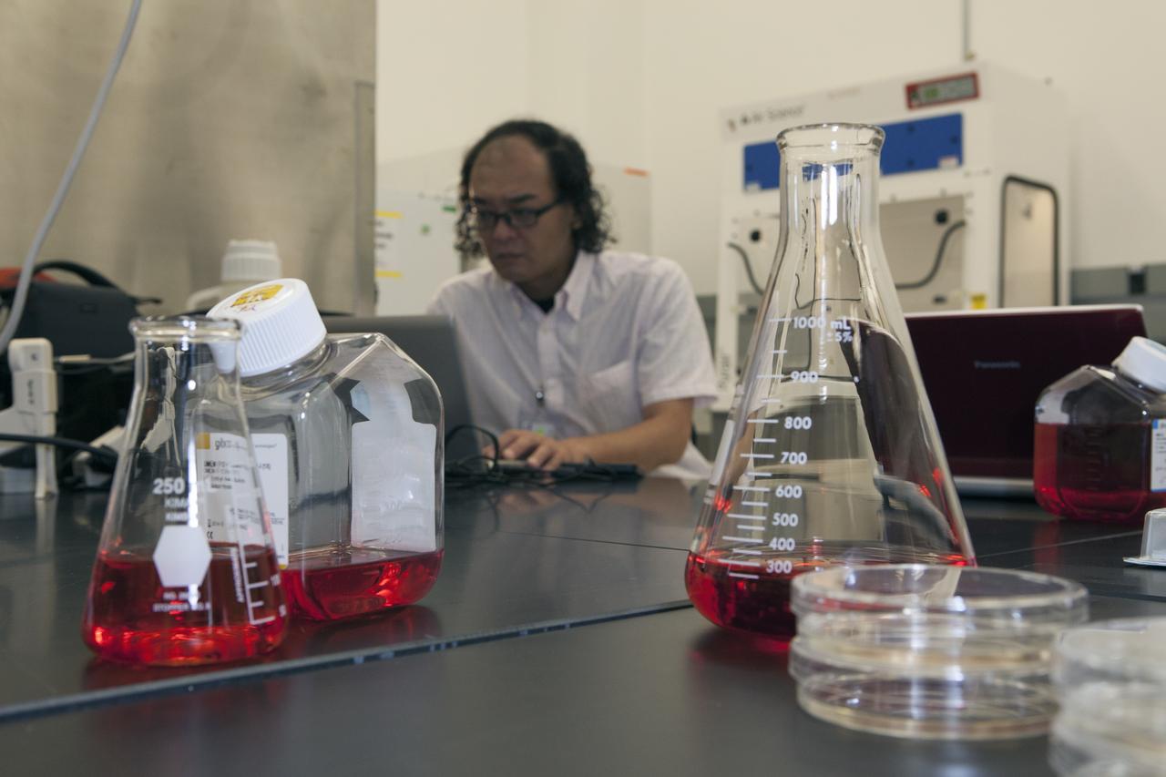 CAPE CANAVERAL, Fla. – Inside a laboratory in the Space Station Processing Facility at NASA's Kennedy Space Center in Florida, Akira Higashibata, a scientist with the Japan Aerospace Exploration Agency, or JAXA, prepares the Cell-Mechanosensing 2 experiment for JAXA. The experiment is one of many that will be delivered to the International Space Station on the SpaceX-4 commercial cargo resupply mission. Kennedy's ISS Ground Processing and Research Project Office is providing the necessary laboratories, equipment, supplies and consumables for 61 principal investigators, including 17 from other countries, as they prepare their science experiments for flight. The SpaceX-4 flight is targeted to launch in September 2014. Photo credit: NASA/Dimitri Gerondidakis