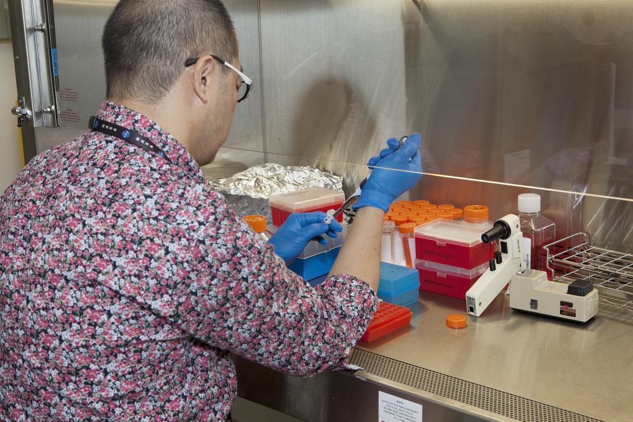 CAPE CANAVERAL, Fla. – Inside a laboratory in the Space Station Processing Facility at NASA's Kennedy Space Center in Florida, Dr. Takeshi Kobayashi, an assistant professor at Nagoya University in Japan, prepares samples for the Cell-Mechanosensing 2 experiment for the Japan Aerospace Exploration Agency. The experiment is one of many that will be delivered to the International Space Station on the SpaceX-4 commercial cargo resupply mission. Kennedy's ISS Ground Processing and Research Project Office is providing the necessary laboratories, equipment, supplies and consumables for 61 principal investigators, including 17 from other countries, as they prepare their science experiments for flight. The SpaceX-4 flight is targeted to launch in September 2014. Photo credit: NASA/Dimitri Gerondidakis