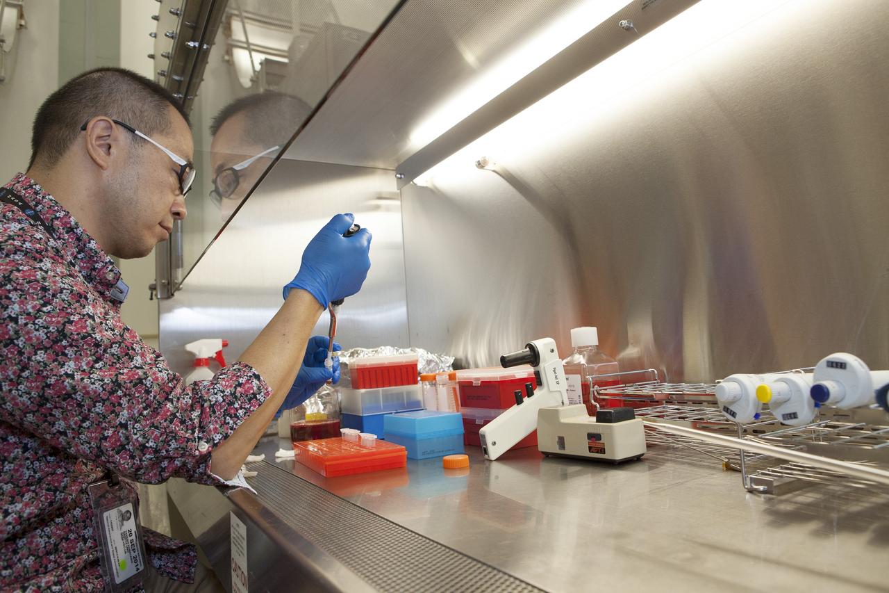 CAPE CANAVERAL, Fla. – Inside a laboratory in the Space Station Processing Facility at NASA's Kennedy Space Center in Florida, Dr. Takeshi Kobayashi, an assistant professor at Nagoya University in Japan, prepares samples for the Cell-Mechanosensing 2 experiment for the Japan Aerospace Exploration Agency. The experiment is one of many that will be delivered to the International Space Station on the SpaceX-4 commercial cargo resupply mission. Kennedy's ISS Ground Processing and Research Project Office is providing the necessary laboratories, equipment, supplies and consumables for 61 principal investigators, including 17 from other countries, as they prepare their science experiments for flight. The SpaceX-4 flight is targeted to launch in September 2014. Photo credit: NASA/Dimitri Gerondidakis
