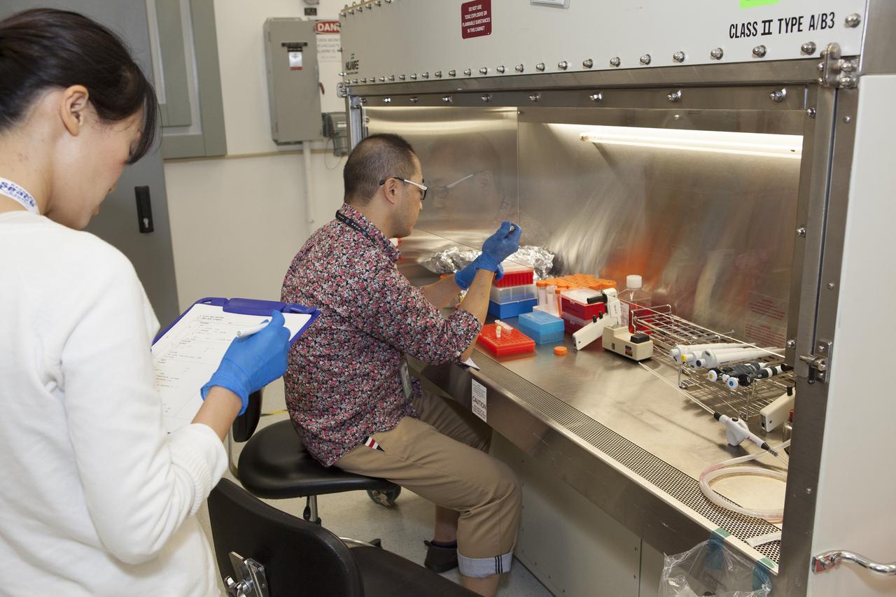 CAPE CANAVERAL, Fla. – Inside a laboratory in the Space Station Processing Facility at NASA's Kennedy Space Center in Florida, Dr. Takeshi Kobayashi, an assistant professor at Nagoya University in Japan, prepares samples for the Cell-Mechanosensing 2 experiment for the Japan Aerospace Exploration Agency. Standing nearby is Dr. Toko Hashizume, an engineer with AES. The experiment is one of many that will be delivered to the International Space Station on the SpaceX-4 commercial cargo resupply mission. Kennedy's ISS Ground Processing and Research Project Office is providing the necessary laboratories, equipment, supplies and consumables for 61 principal investigators, including 17 from other countries, as they prepare their science experiments for flight. The SpaceX-4 flight is targeted to launch in September 2014. Photo credit: NASA/Dimitri Gerondidakis