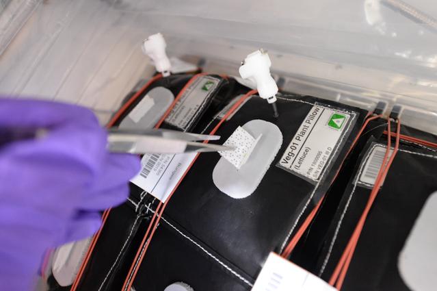 NASA image: Flight Photos - VEG-01B Day 3 GMT 192 Wick Opening