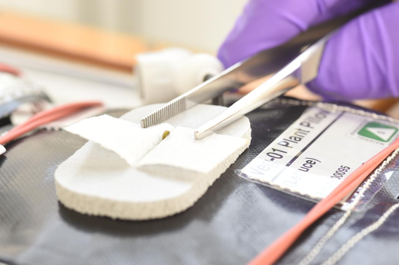 Ground Photos - 3 DAI VEG-01B GC Wick Opening