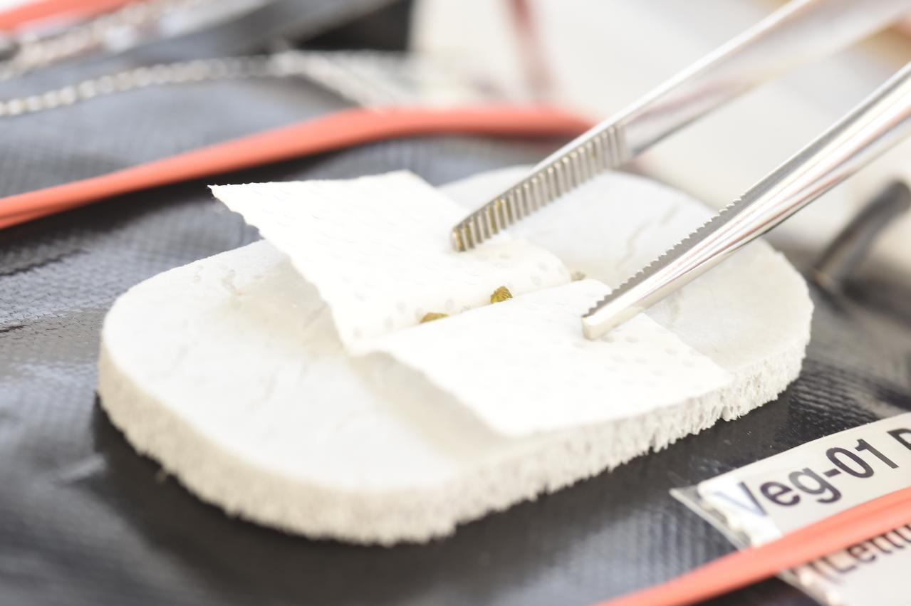 Ground Photos - 3 DAI VEG-01B GC Wick Opening