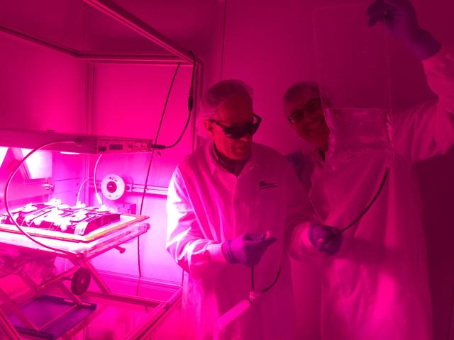 NASA image: Ground Photos - 4 DAI VEG-01B GC Pillow B Prime and E Inspection