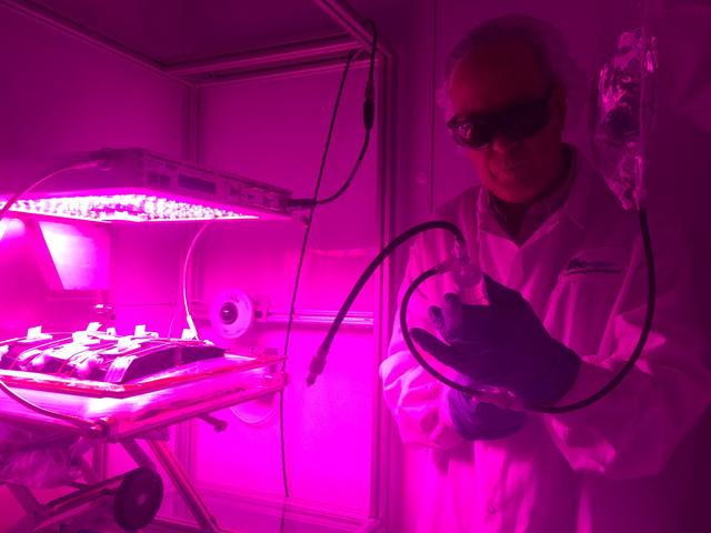 NASA image: Ground Photos - 4 DAI VEG-01B GC Pillow B Prime and E Inspection