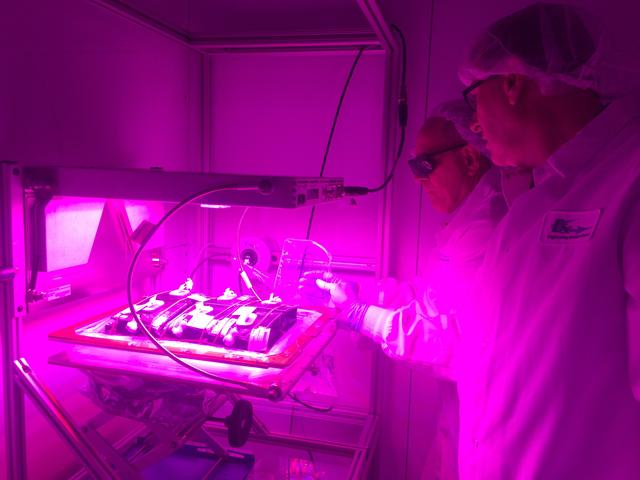 NASA image: Ground Photos - 4 DAI VEG-01B GC Pillow B Prime and E Inspection