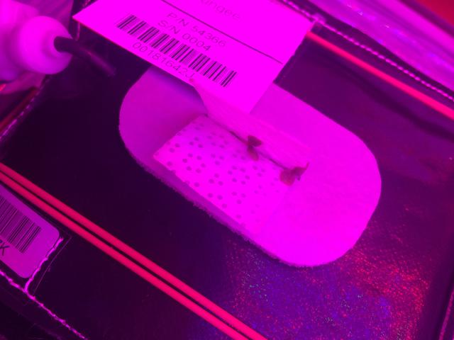 NASA image: Ground Photos - 4 DAI VEG-01B GC Pillow B Prime and E Inspection