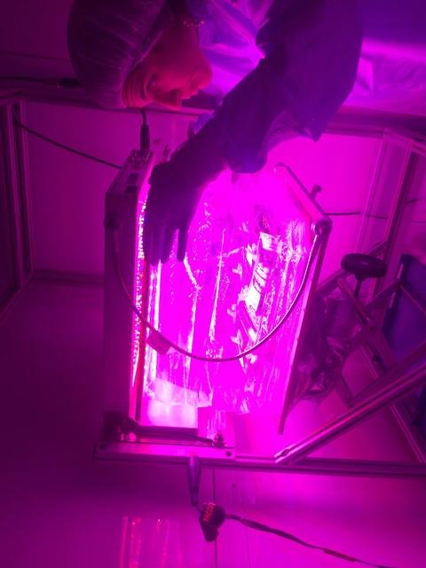 NASA image: Ground Photos - 4 DAI VEG-01B GC Pillow B Prime and E Inspection