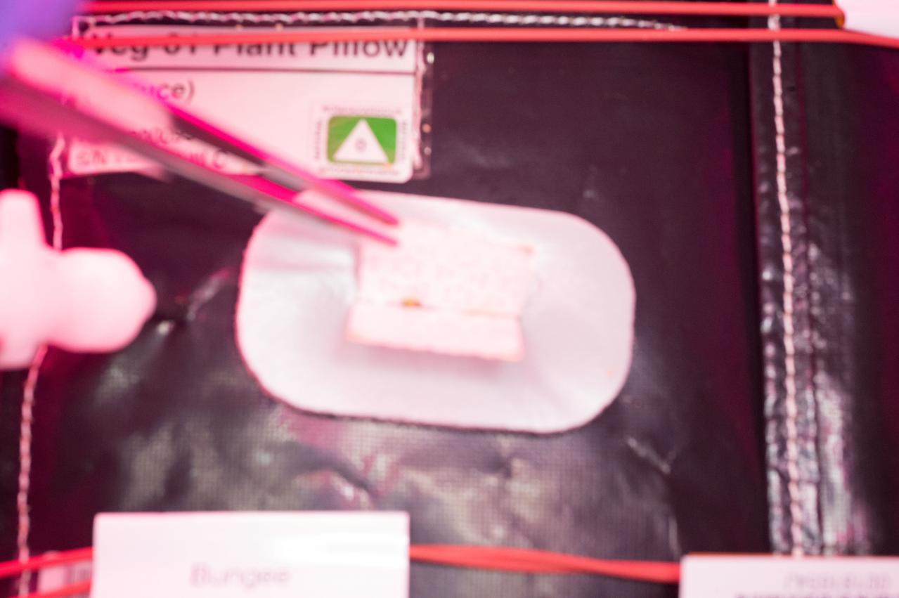 Flight Photos - VEG-01B Day 7 GMT 196 Thinning