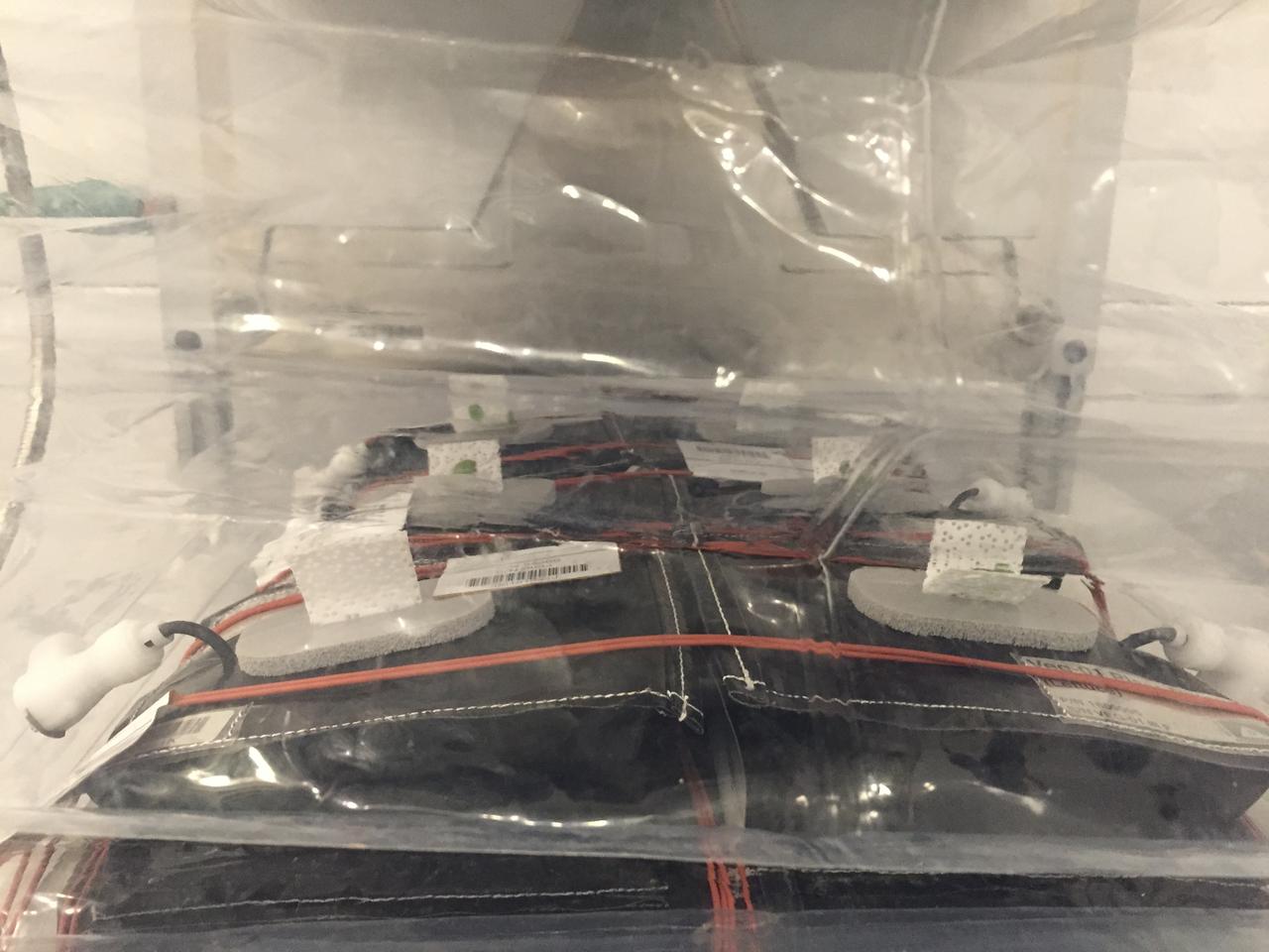 Ground Photos - 7 DAI VEG-01B Plant Thinning