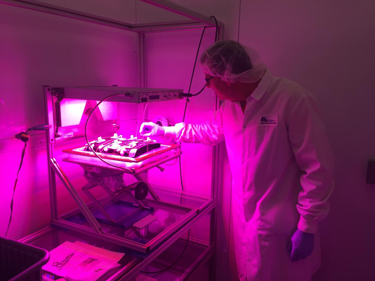 Ground Photos - 7 DAI VEG-01B Plant Thinning