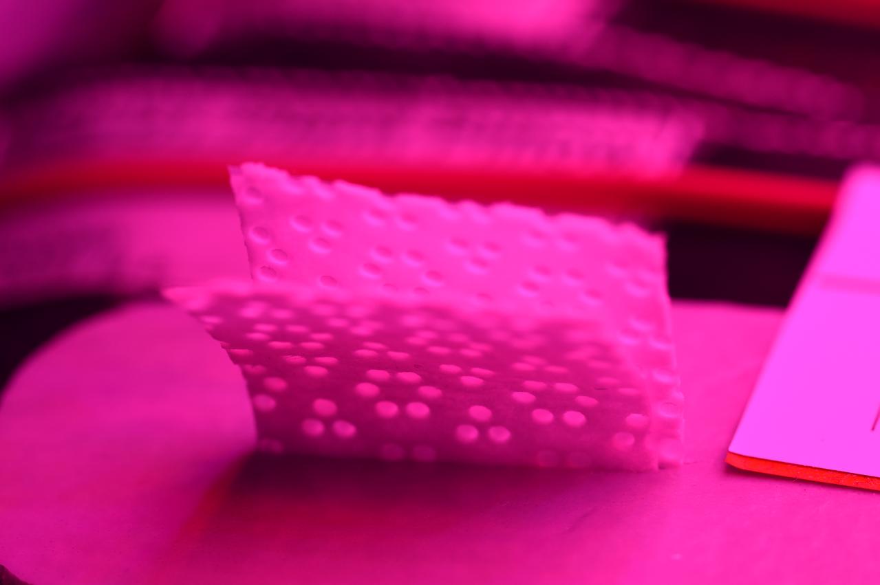 Astronaut Scott Kelly initiated VEG-01 B, the second crop of lettuce, on July, 8, 2015, and both Kelly and Astronaut Kjell Lindgren cared for the plants. The crop grew for 33 days. VEG-01 B included one set of six plant pillows planted with red romaine lettuce seeds. On Aug. 10, 2015, the crew harvested and consumed leaves from each plant. This was the first crop grown and consumed in NASA hardware. They harvested the rest of the plant tissue and froze it in the station’s Minus Eighty-Degree Laboratory Freezer for ISS (MELFI) for return to Earth for further study including microbial analysis, antioxidant capacity, mineral analysis and anthocyanin concentration. 