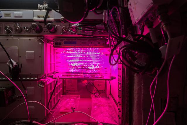 NASA image: Flight Photos - VEG-01B Day 8 GMT 197