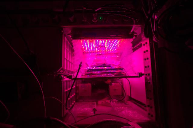 NASA image: Flight Photos - VEG-01B Day 9 GMT 198