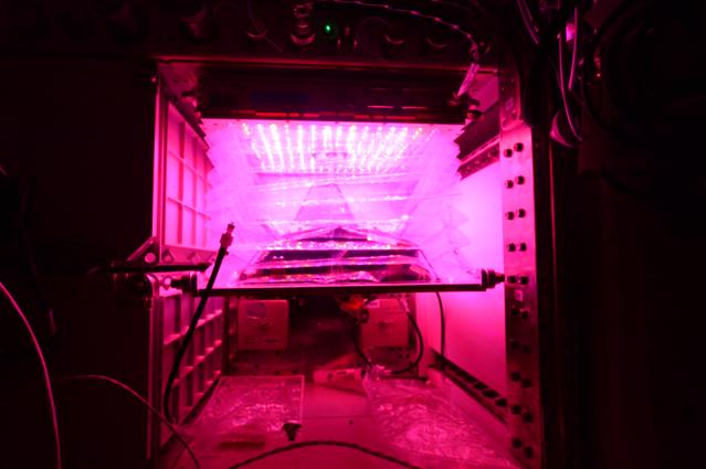 NASA image: Flight Photos - VEG-01B Day 9 GMT 198