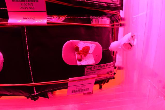 NASA image: Flight Photos - VEG-01B Day 9 GMT 198