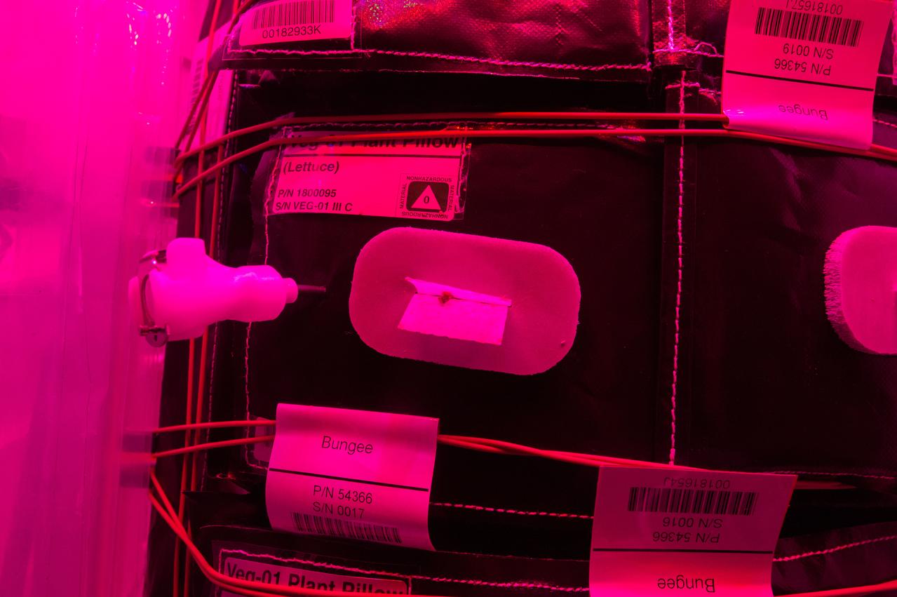 Flight Photos - VEG-01B Day 9 GMT 198