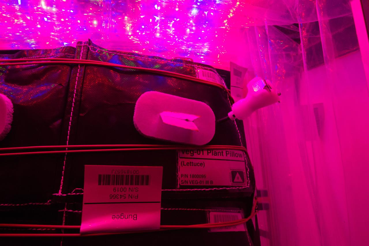 Flight Photos - VEG-01B Day 9 GMT 198